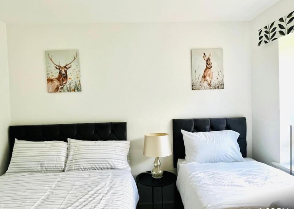 Ashford Retreat - Luxury Home With Double Parking Экстерьер фото